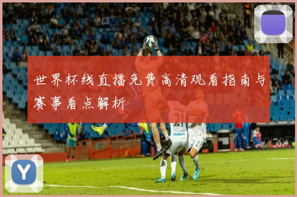 世界杯线直播免费高清观看指南与赛事看点解析