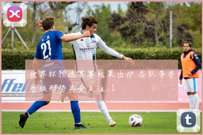世界杯预选赛赛结果出炉 各队争夺晋级形势再受关注_1